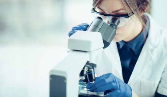 Scientists Identify New Way to Expand Stem Cells