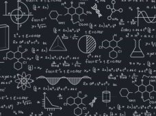 Paleontologists Discover First North American