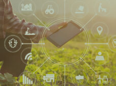 Entrevista: “Financiar o agronegócio também é promover a digitalização das atividades no campo”