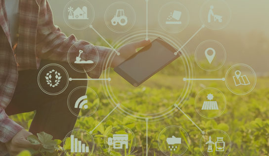 Entrevista: “Financiar o agronegócio também é promover a digitalização das atividades no campo”