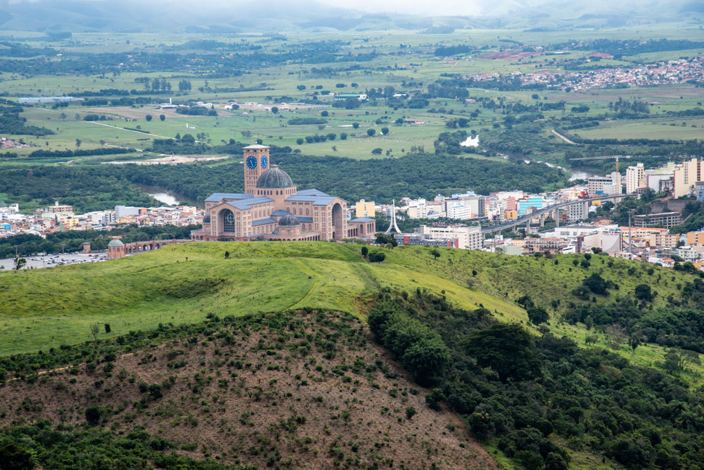 Scania planta mudas de árvores na Mata Atlântica