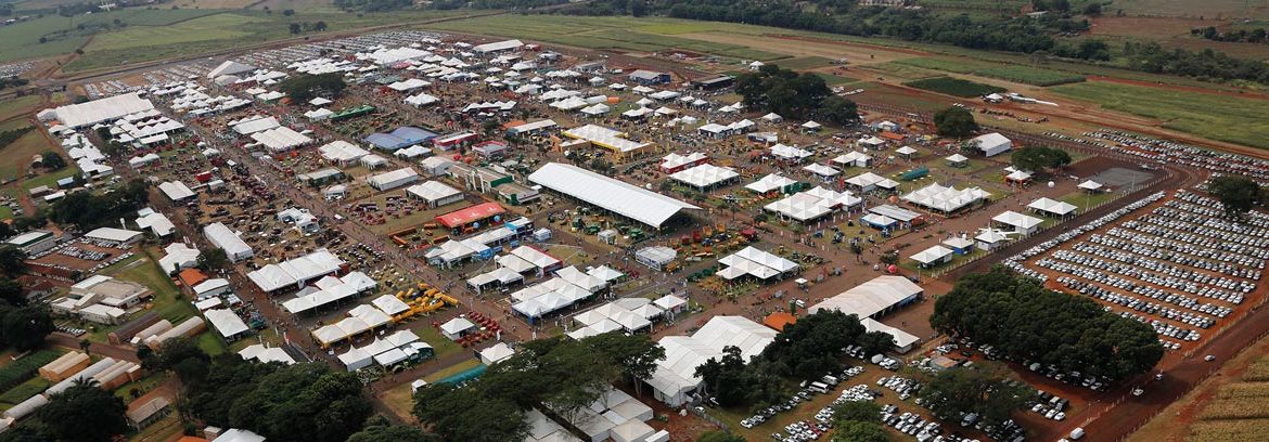 O show vai começar