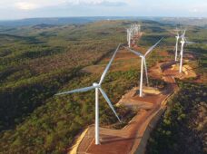 Mercado livre contribui para o crescimento do setor