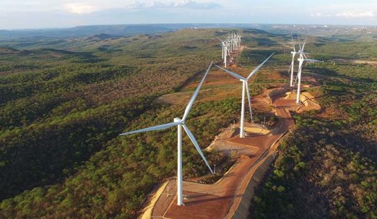 Mercado livre contribui para o crescimento do setor