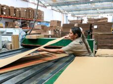 Indústria de papelão ondulado segue sem crise