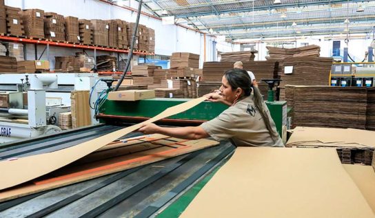 Indústria de papelão ondulado segue sem crise