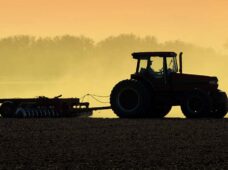As empresas na Agrishow: tecnologias para toda a cadeia produtiva