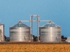 Agronegócio: 84% de um mercado pouco desenvolvido