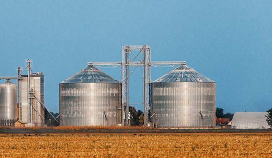 Agronegócio: 84% de um mercado pouco desenvolvido