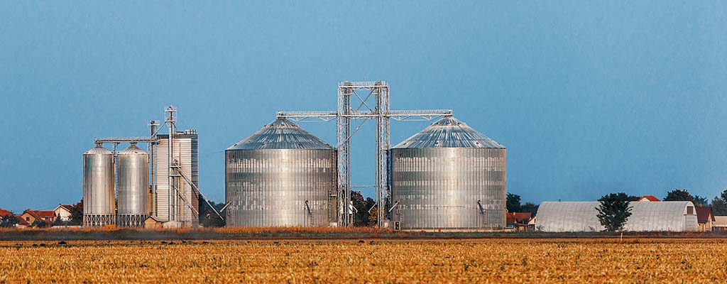 Agronegócio: 84% de um mercado pouco desenvolvido