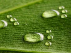 Entrega de relatório ambiental é prorrogada para julho deste ano