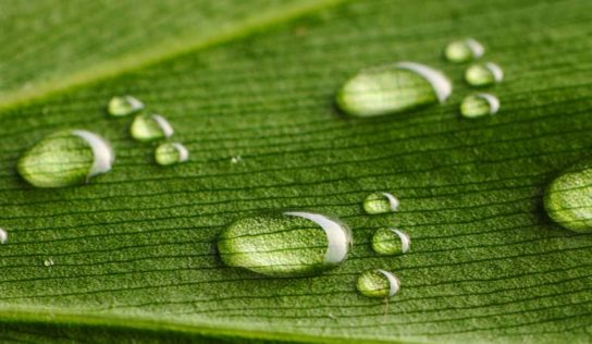 Entrega de relatório ambiental é prorrogada para julho deste ano