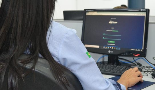 Projeto Paletrans 4.0 garante atendimento ao mercado em meio à Covid-19