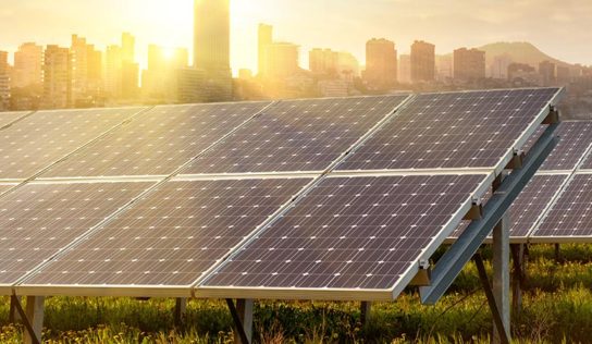 Go Solar tem clientes e revendedores satisfeitos mesmo durante pandemia