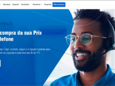 Toledo do Brasil, com novo site, objetiva 70 mil acessos mensais