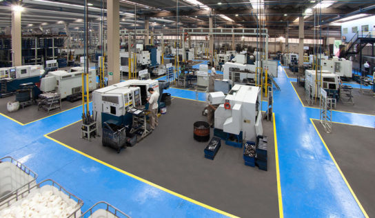 Paletrans cresce 7% no primeiro semestre de 2020