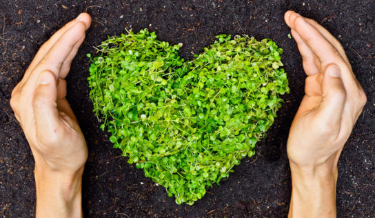 Artigo: ESG, conceito ganha destaque no mundo dos negócios