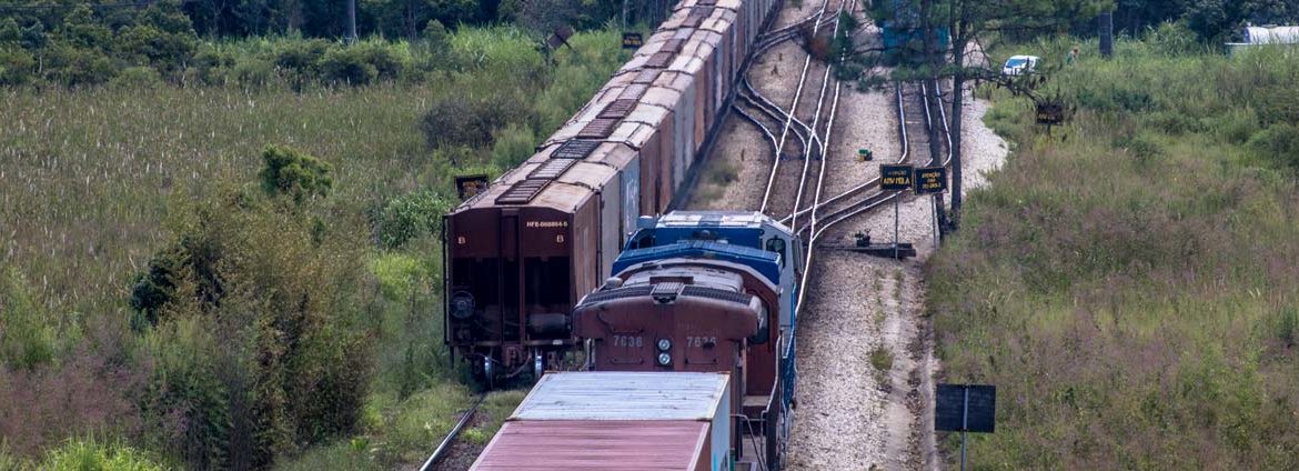 Concessionária da Malha Paulista e Ferrovia Norte-Sul antecipa R$ 5,1 bi de outorga ferroviária