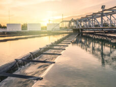 Mercado se movimenta e empresas estão preparadas