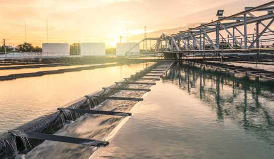 Mercado se movimenta e empresas estão preparadas