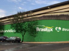 Brasilux Tintas lança campanha Verde Esperança, voltada para salvar vidas