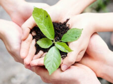 Mais de 11 milhões de CBios já foram emitidos em todo o Brasil