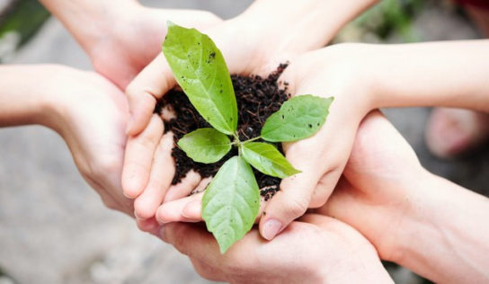 Mais de 11 milhões de CBios já foram emitidos em todo o Brasil