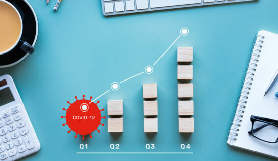 Setor cresce em meio à pandemia