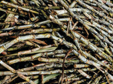 BNDES apoia projeto de geração de energia renovável a partir de resíduo industrial