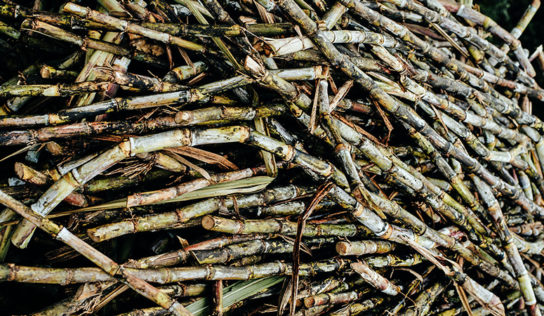 BNDES apoia projeto de geração de energia renovável a partir de resíduo industrial