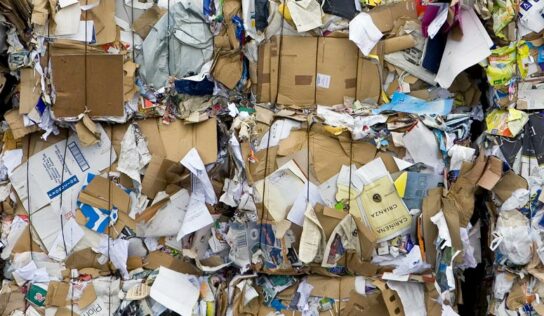 Lei responsabiliza empresas por descarte de produtos e embalagens em SP