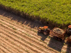 Biopolímeros de cana-de-açúcar evitam emissão de mais de 5 mi de toneladas de CO2