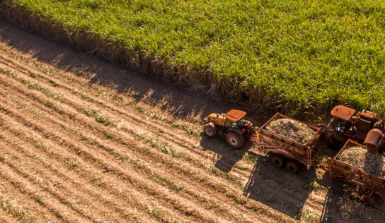 Biopolímeros de cana-de-açúcar evitam emissão de mais de 5 mi de toneladas de CO2