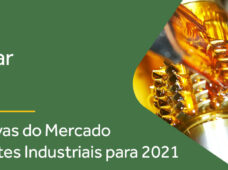 Webinar: As Perspectivas do Mercado de Lubrificantes Industriais para 2021