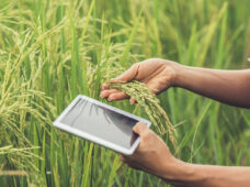 Artigo: Tecnologia e “revolução comercial” no mercado de máquinas agrícolas