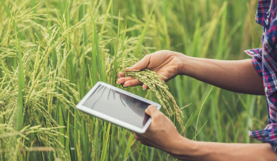 Artigo: Tecnologia e “revolução comercial” no mercado de máquinas agrícolas