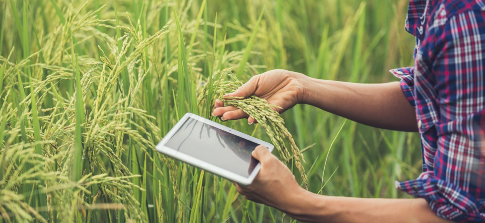 Artigo: Tecnologia e “revolução comercial” no mercado de máquinas agrícolas