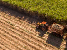 Usina de açúcar e álcool investe R$ 345 milhões em renovação de frota para a próxima safra