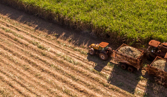 Usina de açúcar e álcool investe R$ 345 milhões em renovação de frota para a próxima safra