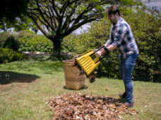 Coletor manual de folhas facilita limpeza de jardins