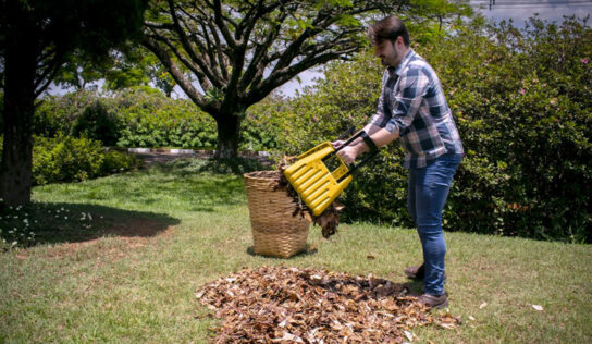 Coletor manual de folhas facilita limpeza de jardins