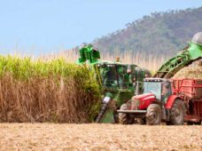 BNDES RenovaBio tem financiamento premiando redução de emissões