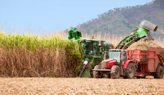 BNDES RenovaBio tem financiamento premiando redução de emissões