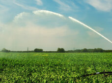 Profinor investirá R$ 900 milhões em irrigação nos próximos quatro anos