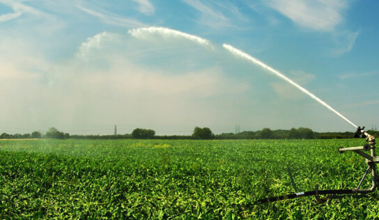 Profinor investirá R$ 900 milhões em irrigação nos próximos quatro anos