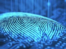 Artigo: Cinco dicas para implementação da LGPD