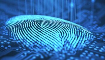 Artigo: Cinco dicas para implementação da LGPD