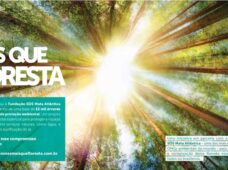 MaisQueFloresta: parceria Petronas e SOS Mata Atlântica prevê o replantio de 15 mil mudas