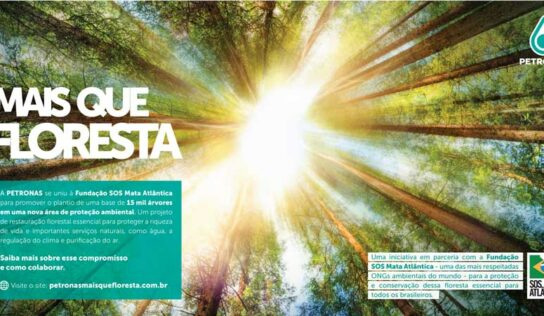 MaisQueFloresta: parceria Petronas e SOS Mata Atlântica prevê o replantio de 15 mil mudas