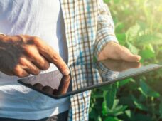 Canais digitais aproximam agricultores dos consumidores finais
